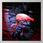 FLAMINGO-Kopie Posterdrucke
