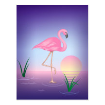 Flamingo Postcard
