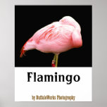 Flamingo verstaute Schnabel-Plakat
