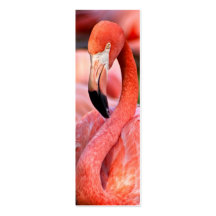 Flamingo-Visitenkarte oder Lesezeichen