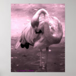 Flamingofoto rosa abgetönt, rosa Flamingo! Posterdruck