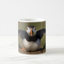 Flattern-Papageientaucher Kaffeetassen