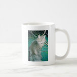 Flaumig der Maine-Waschbär Kaffeehaferl