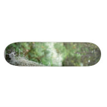 Flechten auf Baum Skateboarddeck