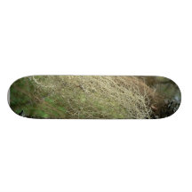 Flechten Personalisierte Skateboarddecks