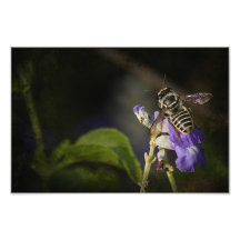 Fliege und Blume Kunstphotos