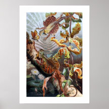 Fliegen-Drache Plakate