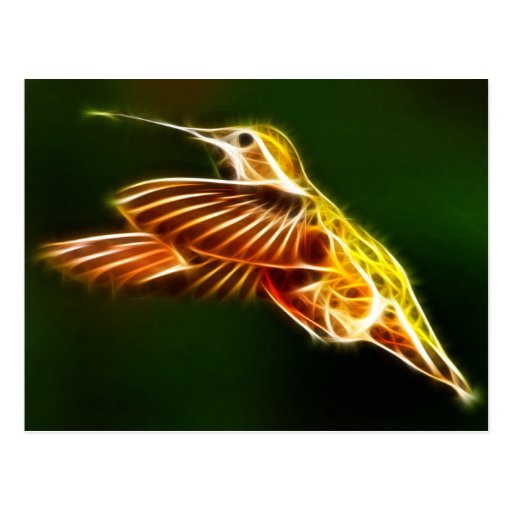 Fliegen-Kolibri Postkarte