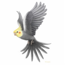Fliegencockatiel-Feiertags-Verzierung Photo Figur
