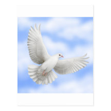 Fliegende Tauben-Postkarte