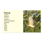 Fliegenfalke-Visitenkarten