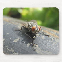 Fliegennahaufnahme Mousepads