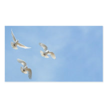 Fliegentauben Visitenkarten Vorlage