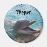 Flipper Kühlschrankmagnete