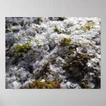 Flocken des Winters Poster