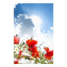 Flor roja  papeleria