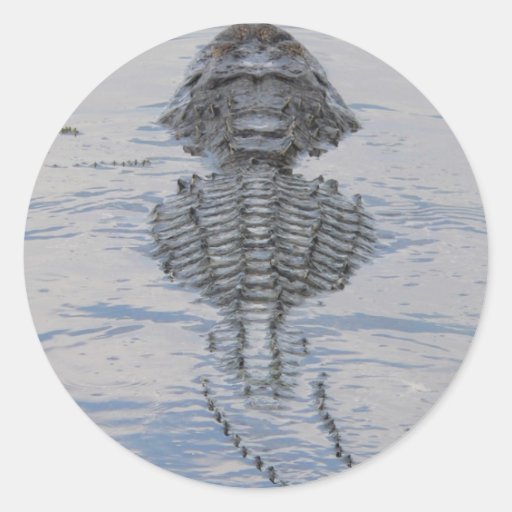 Florida-Alligatoraufkleber