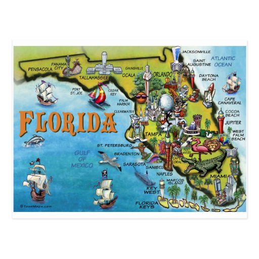 Florida-Cartoon-Karte Postkarte