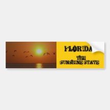 FLORIDA! , Der Sonnenschein-Staat, Vögel Fling übe Autosticker
