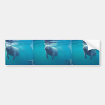 Florida-Manatis Autosticker