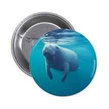 Florida-Manatis Button