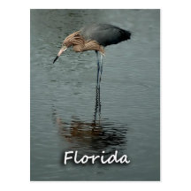 Florida-Postkarte