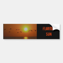 Florida-Sonnenuntergang mit Möven-Autoaufkleber