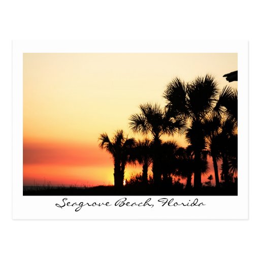Florida-Sonnenuntergang Seagrove Strand-Palmen Postkarten