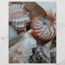 Florida-Strand-Muscheln Individuelle Flyer