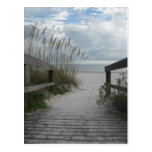 Florida-Strand-Weg Postkarte