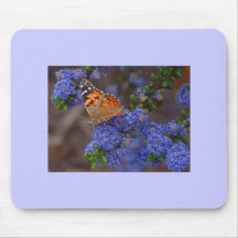 Flügel des Frühlinges Mousepad