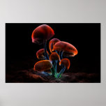 Fluoreszenz (2009) posterdrucke