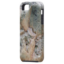 Fluss-Felsen iPhone 5 Schutzhülle