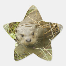 Fluss-Otter-Lebensraum-Aufkleber