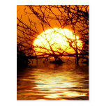 Flüssige Sonnenuntergang-Vertikale-Postkarte