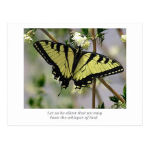 Flüstern-Schmetterling Postkarte