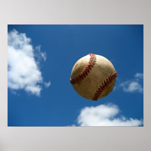 Flyball Plakate