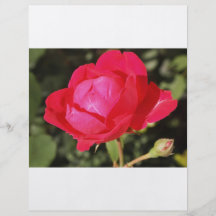 Flyer mit einer Rose