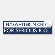 FlySwatter im Leiter Auto Sticker