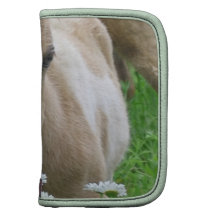 Fohlen-riechende Gänseblümchen-Geldbörsen-Folios Mappen