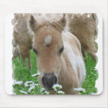 Fohlen-riechende Gänseblümchen-Mausunterlage Mauspads