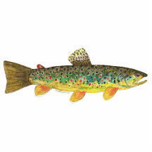 Forelle-Fliegen-Fischen Acryl Ausschnitt