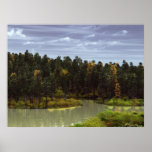 Forestsee Posterdrucke