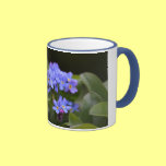 Forgetmenots tassen