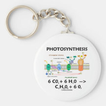 Formel der Fotosynthese-(Chemikalie) Schlüsselband