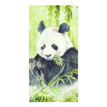 Fotokarten des riesigen Pandas