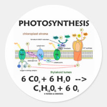 Fotosynthese (Kohlendioxyd + Wasser) Runde Aufkleber