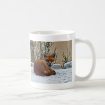 Fox im Schnee Kaffeetasse