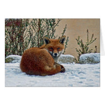 Fox im Schnee Karten