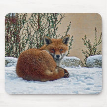 Fox in der Schneemäusematte Mousepad